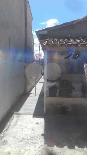 Foto REO214244