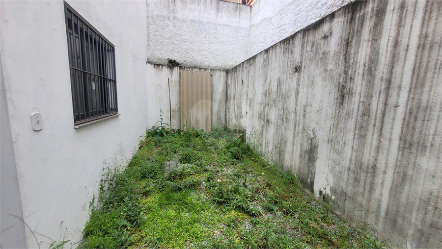 Foto REO214379