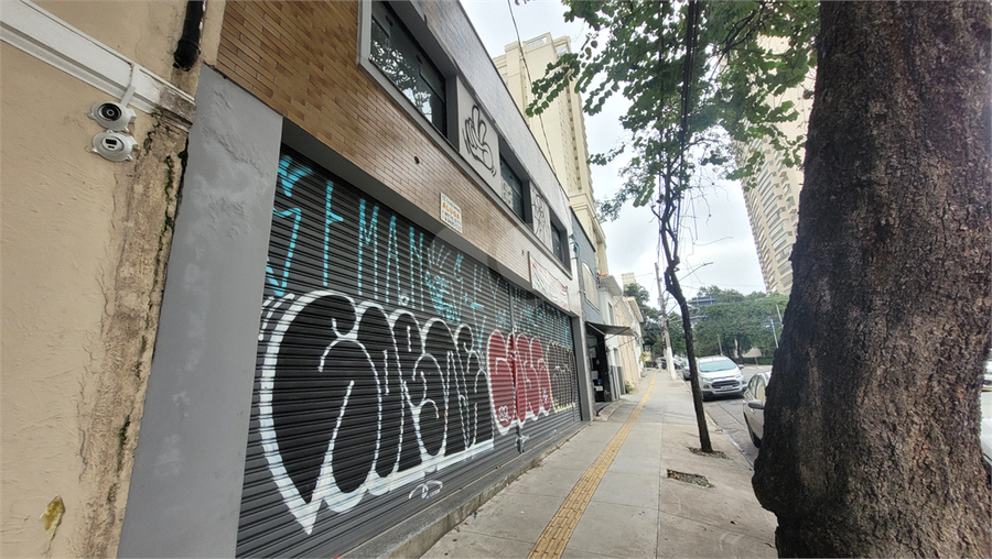 Foto REO214379