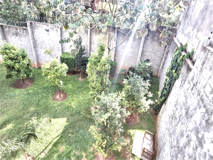 Foto REO214551
