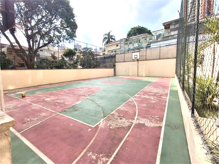 Foto REO214551