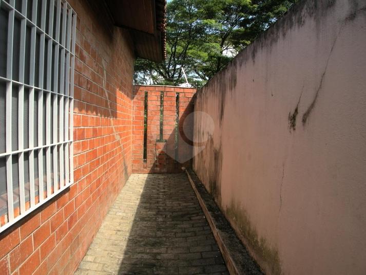 Foto REO214634