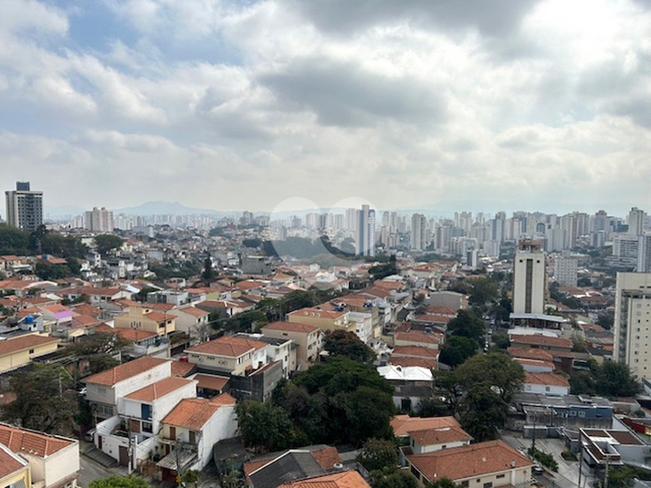 Foto REO214700
