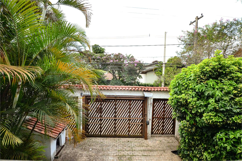 Foto REO214703