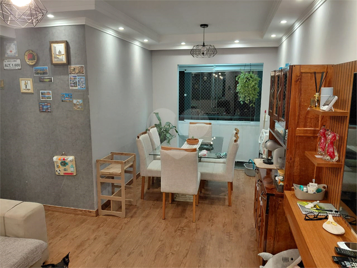 Foto REO215197