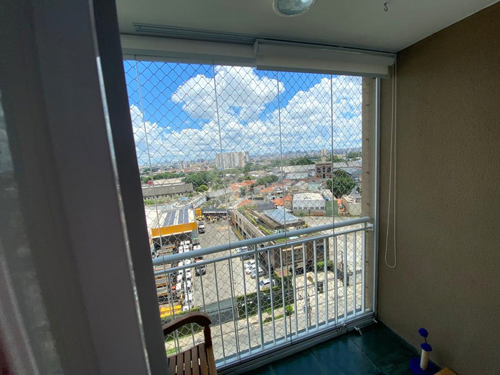 Foto REO215225