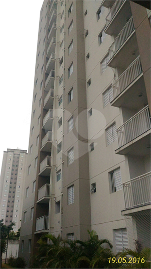 Foto REO215225