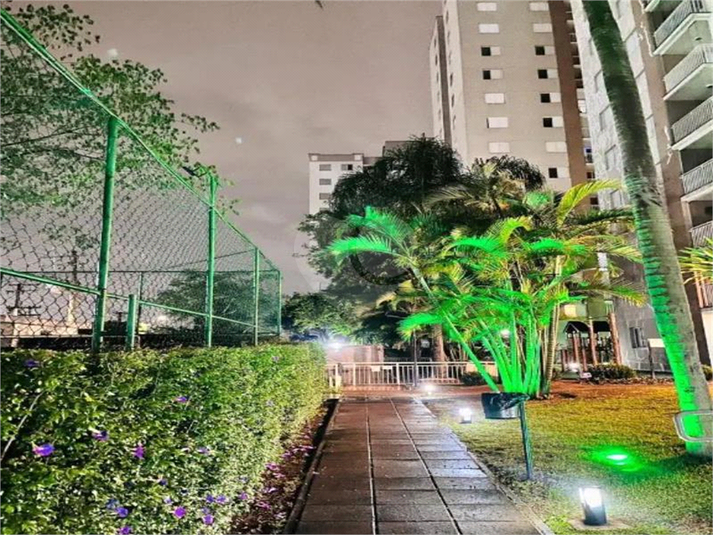 Foto REO215225