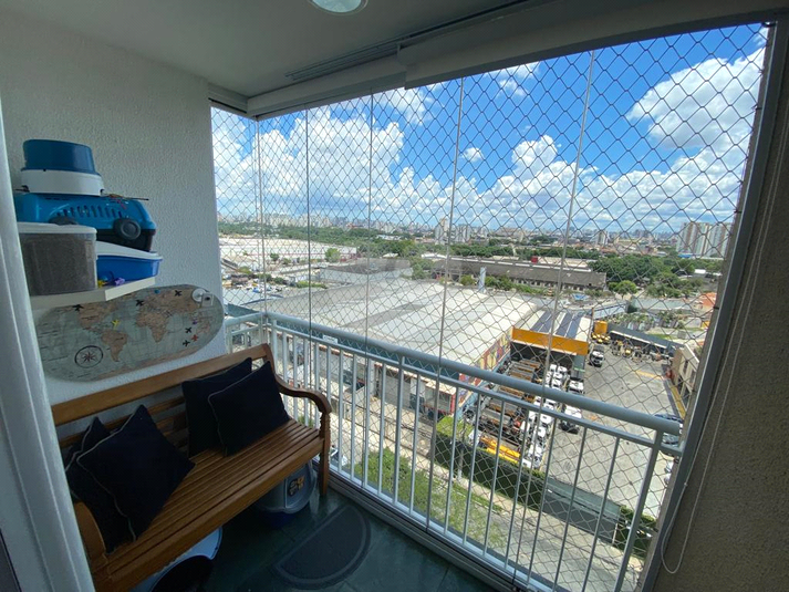Foto REO215225