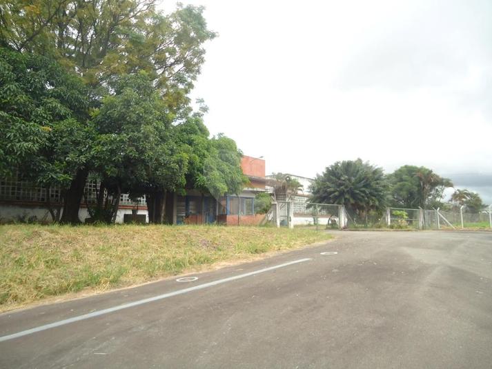 Venda Galpão São Paulo Parque São Domingos REO215239 8