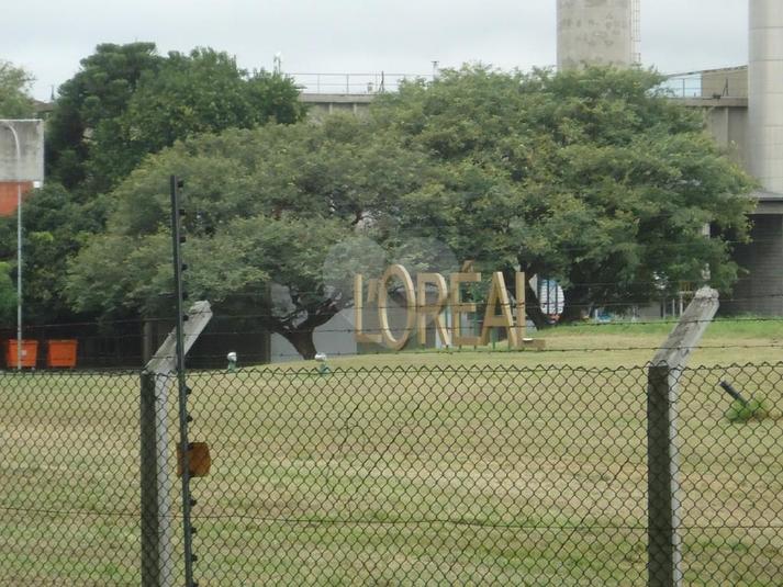 Venda Galpão São Paulo Parque São Domingos REO215239 11