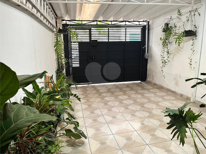 Foto REO215330