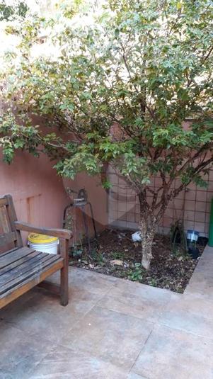 Foto REO215338