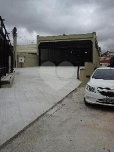 Foto REO215364
