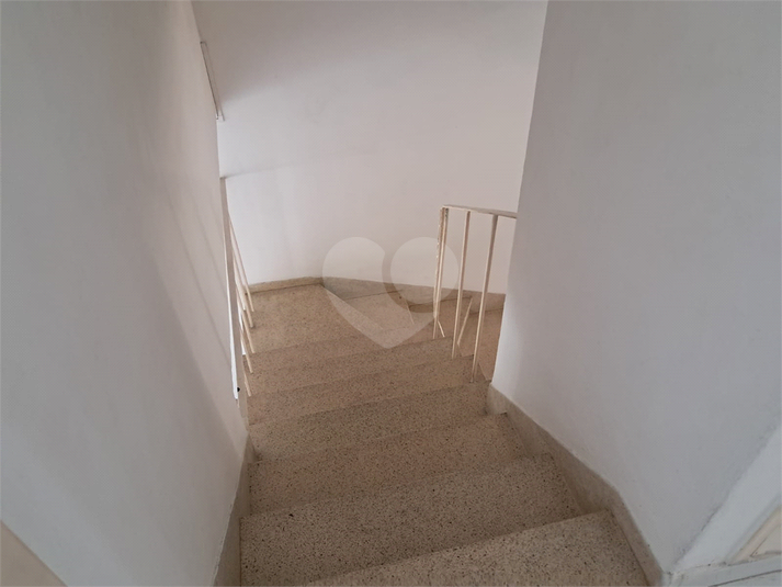 Foto REO215671