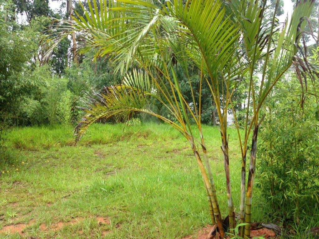 Venda Terreno Barueri Tamboré REO215876 3