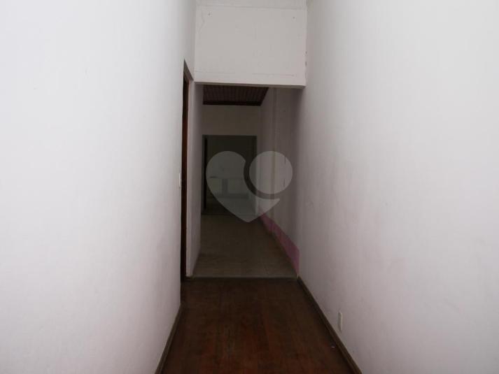 Foto REO216712
