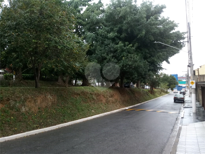 Foto REO216952