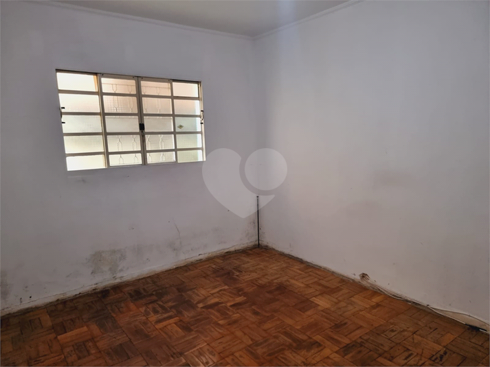 Foto REO216952