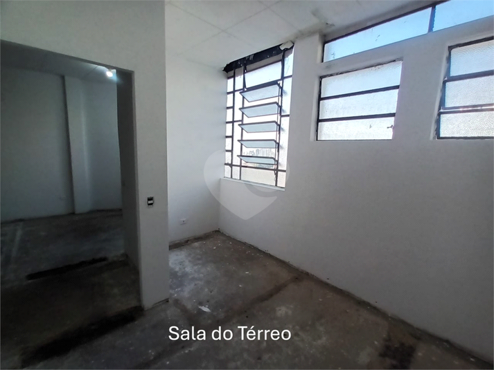 Foto REO217047