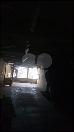 Foto REO217047