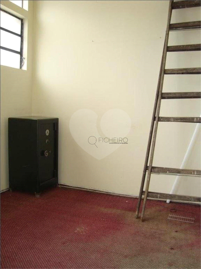 Foto REO217047