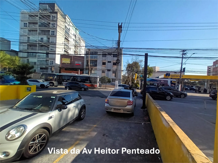 Foto REO217047