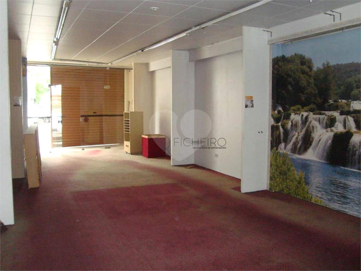 Foto REO217047