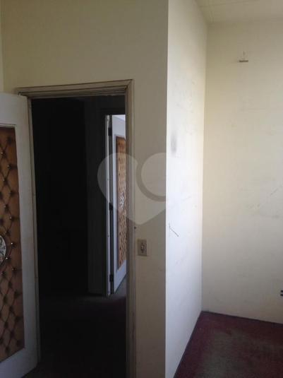 Foto REO217047