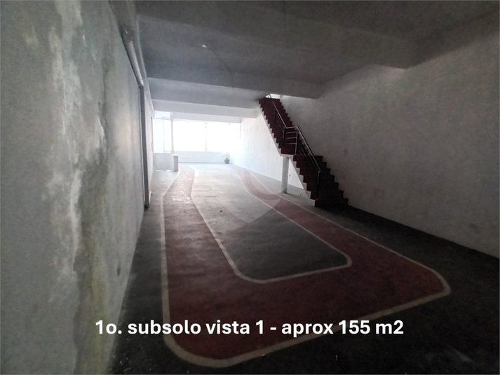 Foto REO217047