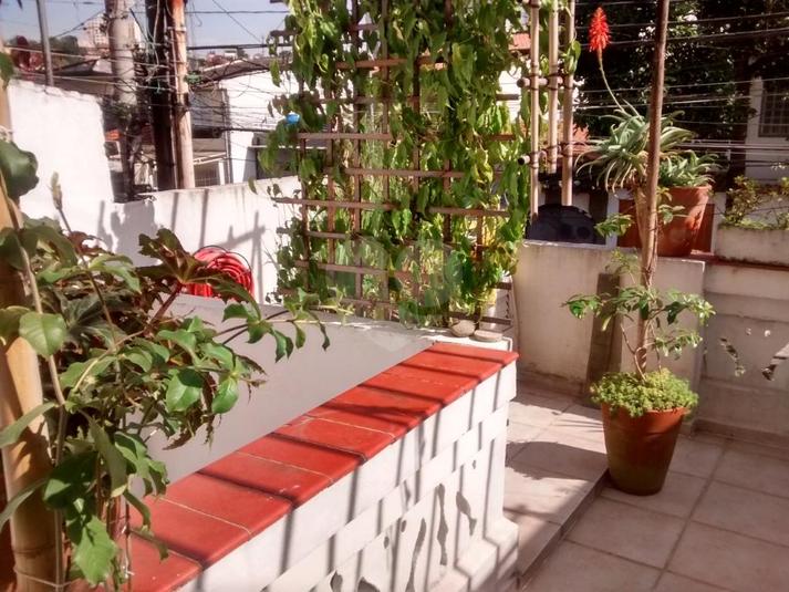 Foto REO217270