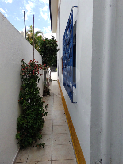 Foto REO217270