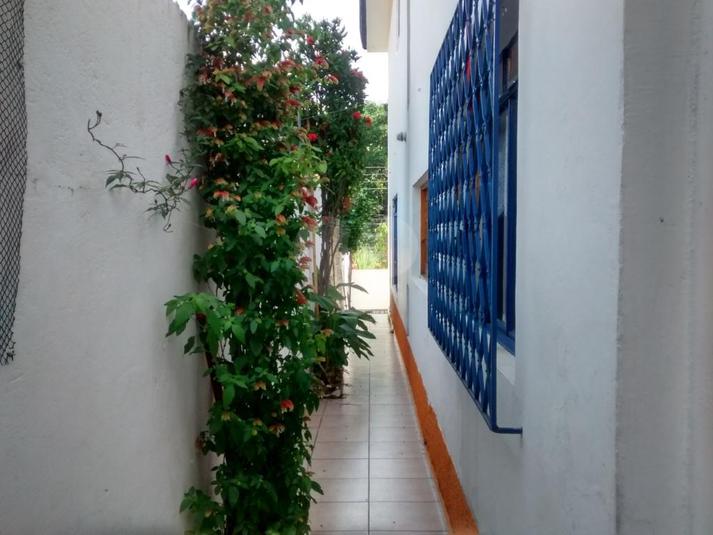 Foto REO217270