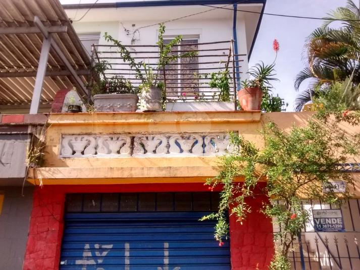 Foto REO217270