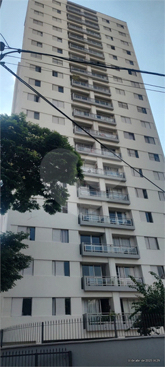 Foto REO217509