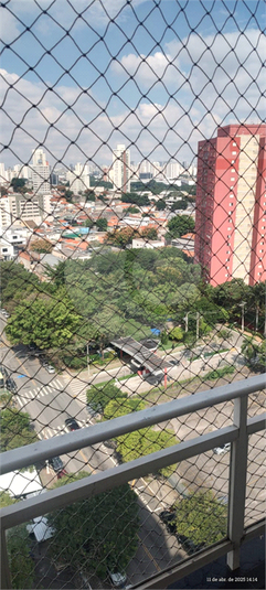 Foto REO217509