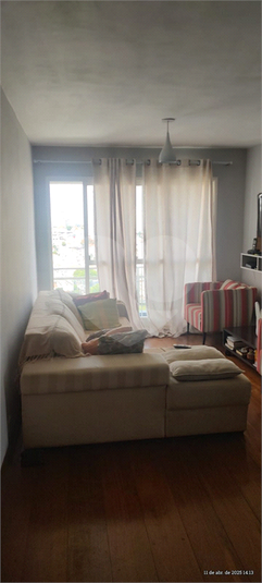 Foto REO217509