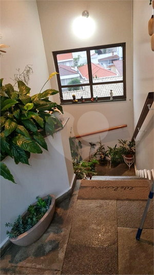 Foto REO218144