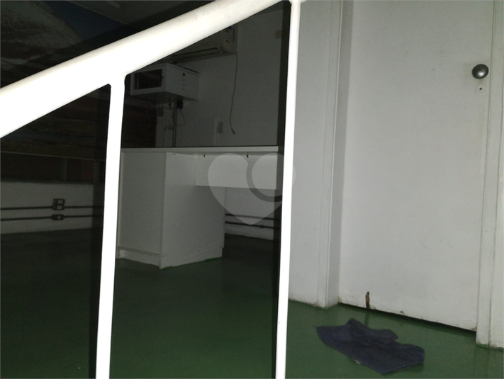 Foto REO218490