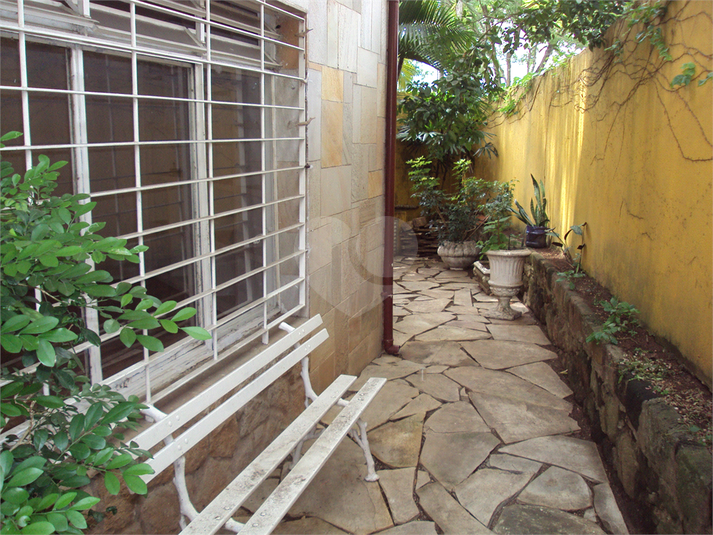 Foto REO218731