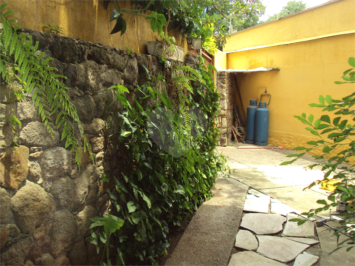 Foto REO218731