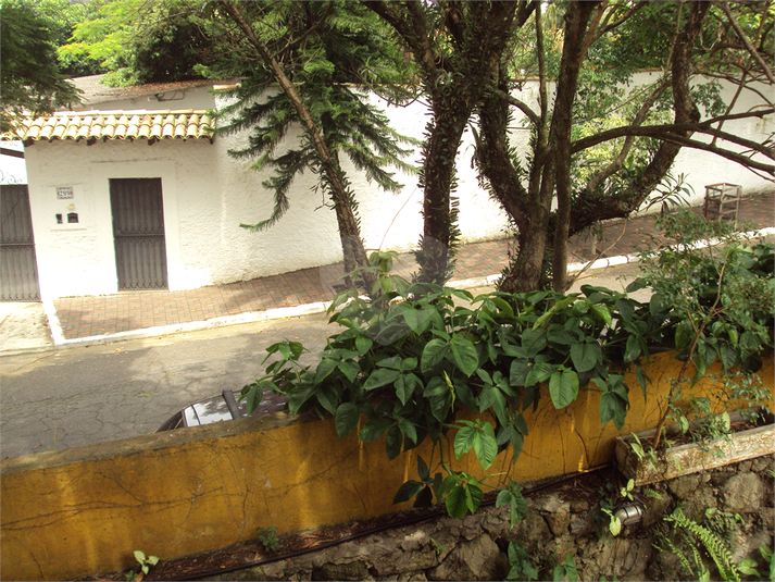 Foto REO218731