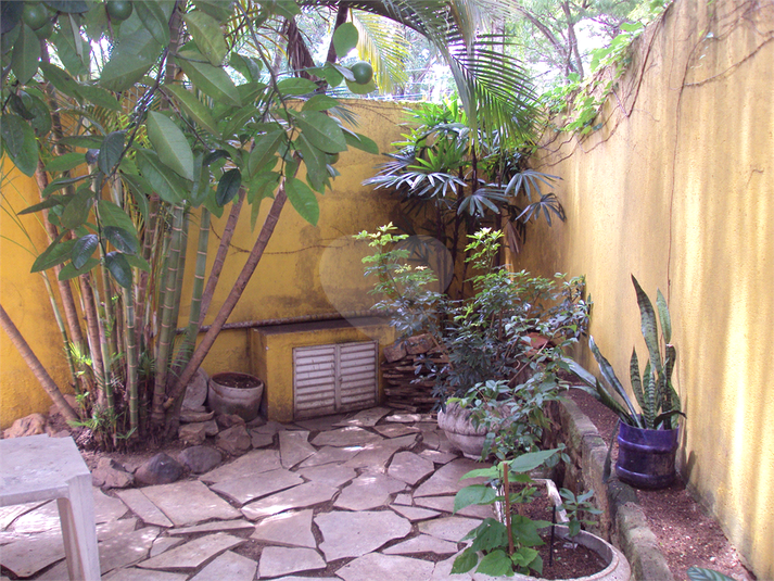 Foto REO218731