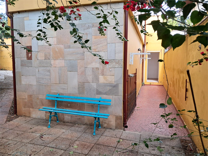 Foto REO218731