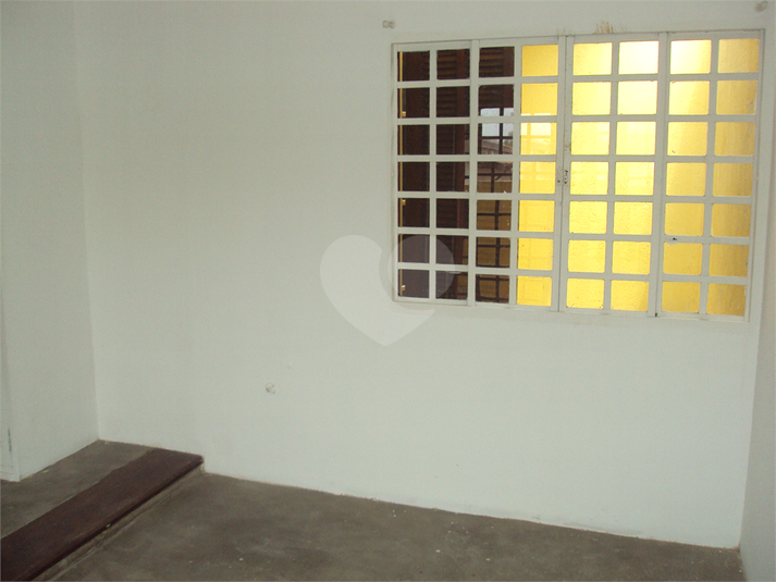 Foto REO218731