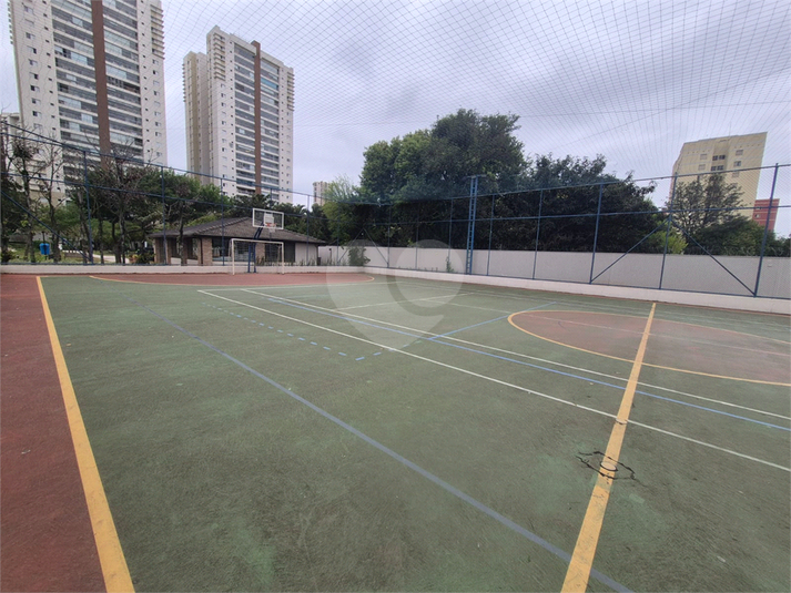 Foto REO219252