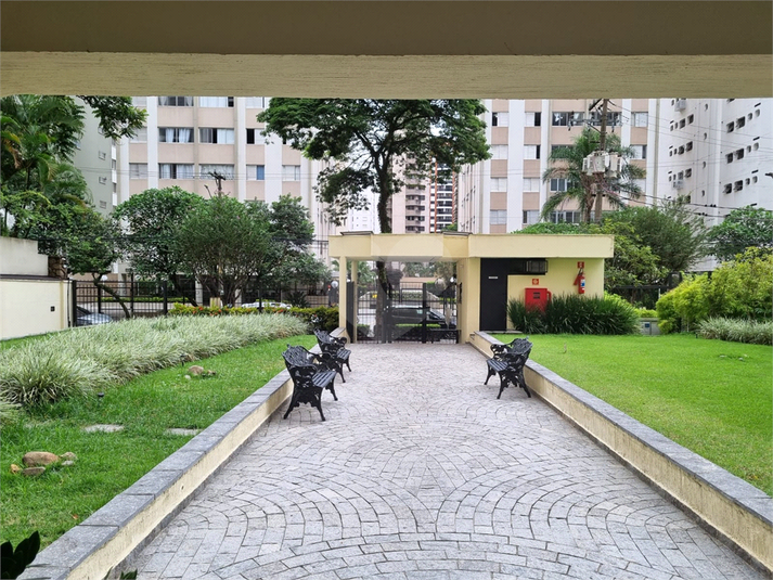 Foto REO219253