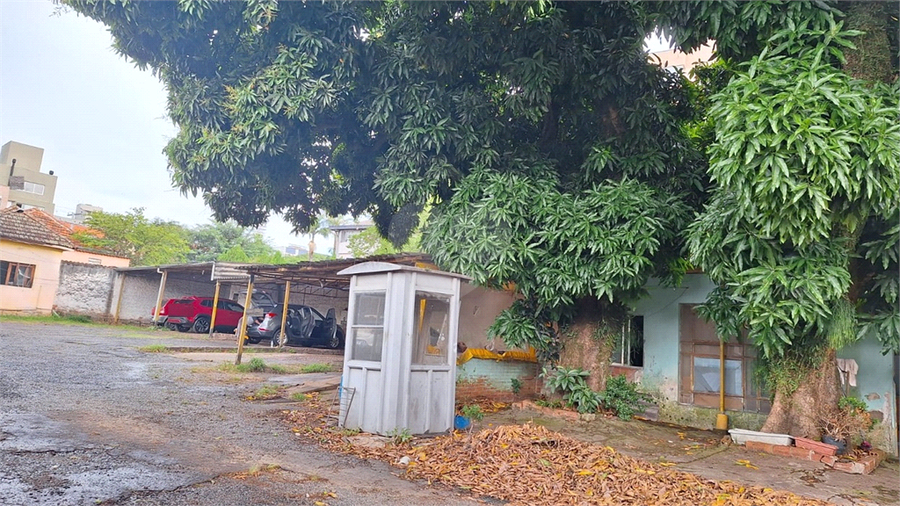 Venda Terreno Porto Alegre Menino Deus REO228168 13