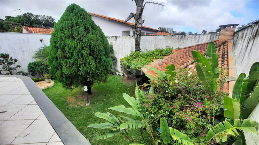 Foto REO22823