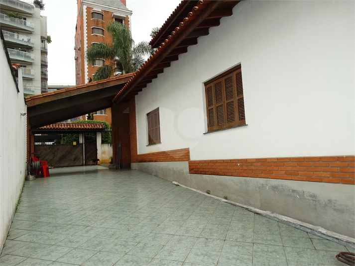 Foto REO23253